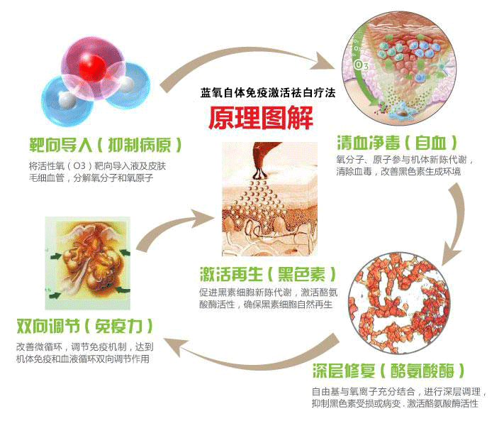 蓝氧自体免疫激活祛白疗法原理
