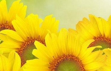 青少年如何预防白癜风