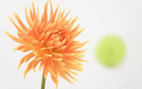 白癜风初期症状有哪些