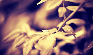 治疗白癜风饮食护理很重要