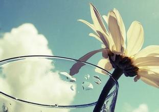 长期熬夜会引发白癜风吗