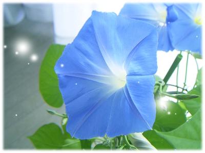 白癜风治疗不及时的危害